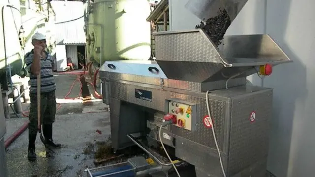 “Şumi” şirkəti bu il yalnız öz üzümlüklərinin məhsulundan istifadə etməyi planlaşıdırıb