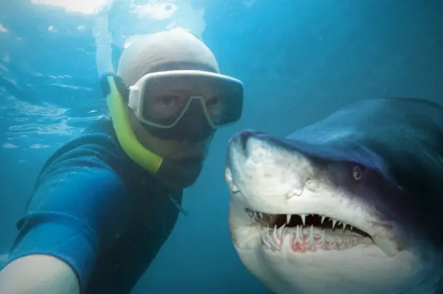 Fazer selfiestruques para jogar na roletasituações como essa pode ser perigoso e até fatal