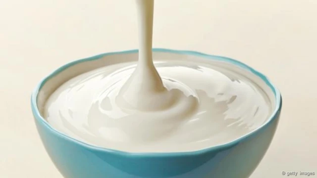 Yogurt