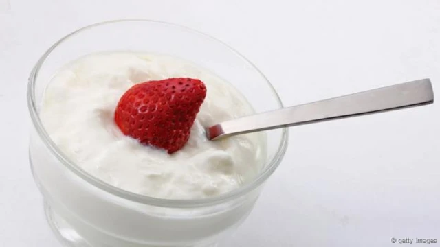 Yogurt