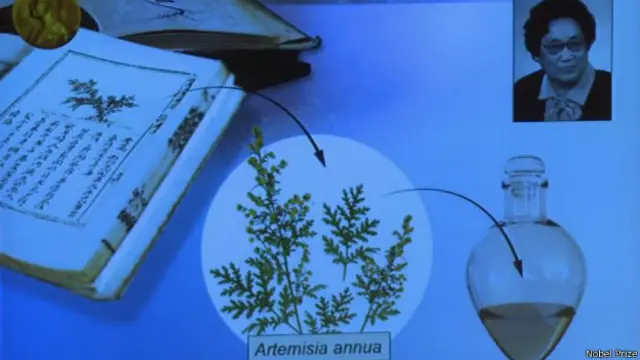 屠呦呦是在中医古籍当中发现青蒿素，而且屠呦呦认为青蒿素是传统中医药送给世界人民的礼物