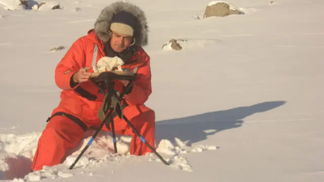 在北极雕塑北极熊模型
