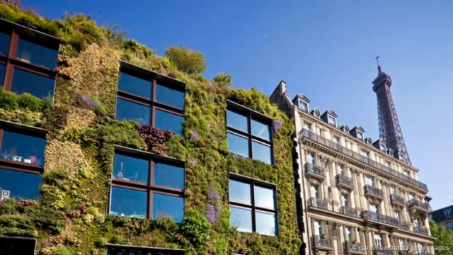 法国巴黎盖·布朗利博物馆的垂直花园围墙(图片来源:GARDEL Bertrand / Getty Images)