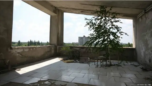 在隔离区的最大城镇,已经很难看到城市与自然的界限