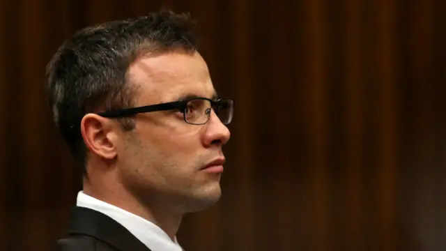 ویلنٹائن ڈے کے موقعے پر پسٹوریئس نے 29 سالہ ریوا سٹین کیمپ کو گولیاں مار کر قتل کر دیا تھا