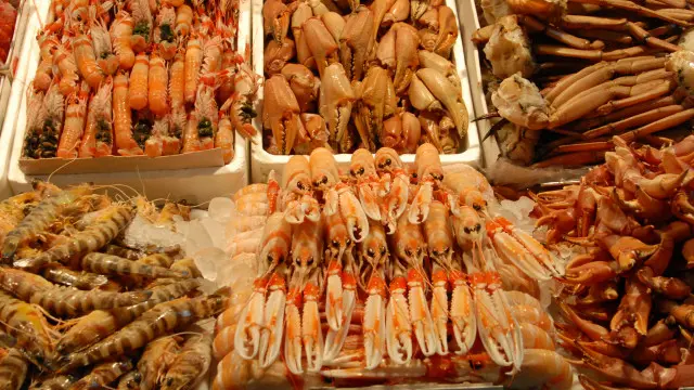 Udang