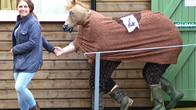 Pantomime Horse no 4 is 14h 2”