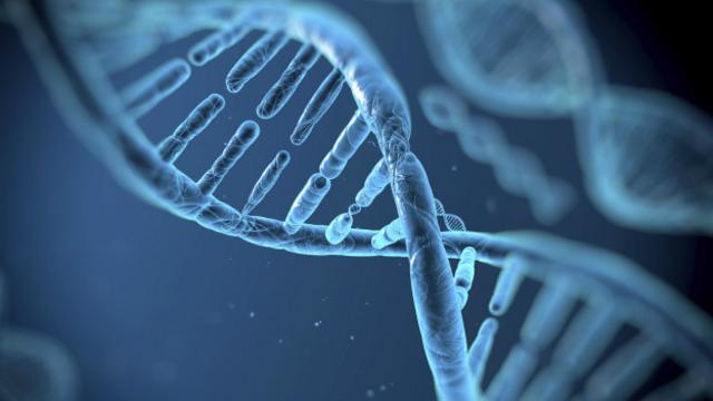 El AND puede resultar dañado por distintos fenómenos que pueden generar  defectos en nuestros genomas. 