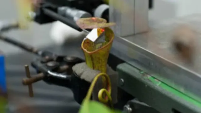 Los investigadores utilizaron un dispositivo especial para medir las vibraciones. 