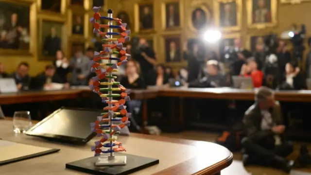 Model DNA