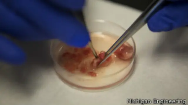 michigan engineering