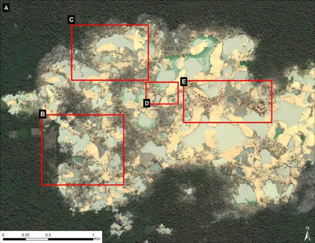 El área afectada está a tan solo 6 Km de la reserva de Tambopata. 