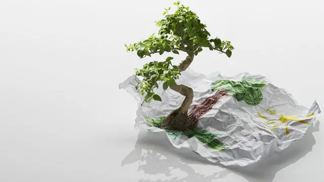 Arból de verdad y de papel