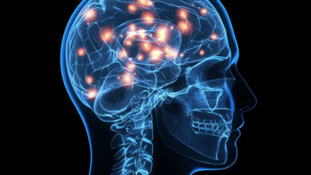 Wo هره ورځ چې له خوبه راویښېږي فکر کوي چې د ۲۰۰۵ کال د مې میاشت ده. مېرمن یې وایي چې دی هره ورځ د سهار په پنځه کمو اوو بجو له خوبه راپاڅېږي.