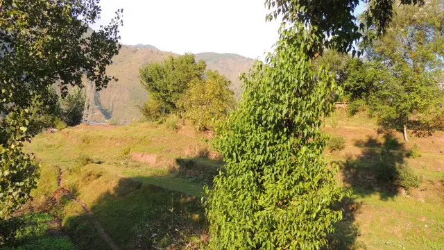 سبزے اور درختوں کے نیچے پہاڑ کی اونچی نیچی سطح پر لینڈ سلائیڈنگ کے آثار اب بھی واضح تھے