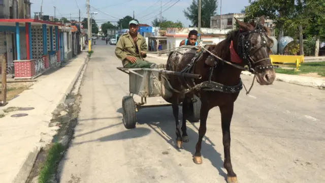 Mariel carreta de caballos