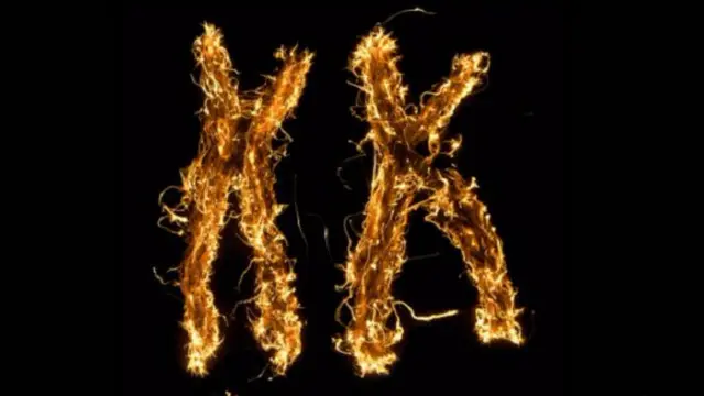 هناك العديد من الآليات المحتملة ـ بداية من مجاميع المادة الوراثية، والتي تُعرف باسم الصبغيات (أو الكروموسومات)