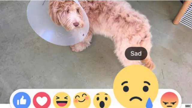 فیس بک پر عام طور پر ظاہر کیے جانے والے تبصروں اور رد عمل کا جائزہ لیے کے بعد اس کے نئے ایموٹیکان ڈیزائن کیے گئے تھے