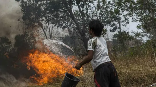 BNPB mengatakan, ada 801 titik api di Sulawesi yang diakibatkan pembakaran lahan pertanian dan perkebunan.