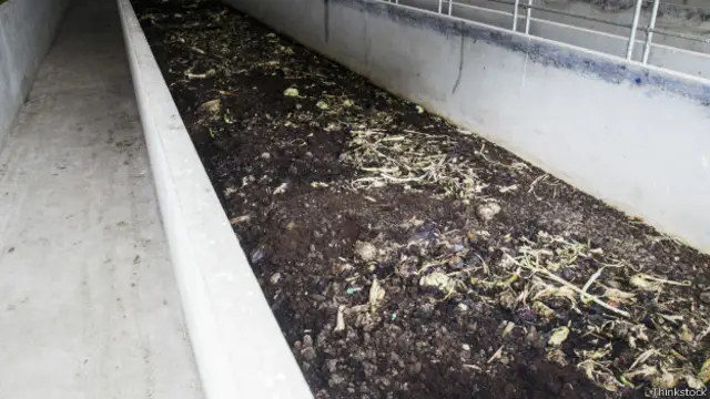 Ферма земляных червей в Европе