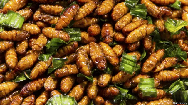 Жареные личинки тутового шелкопряда