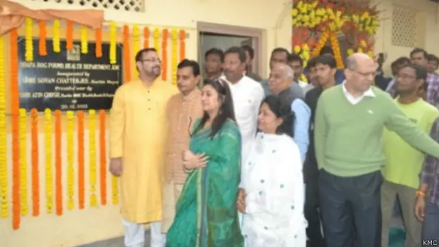 डॉग पाउंड