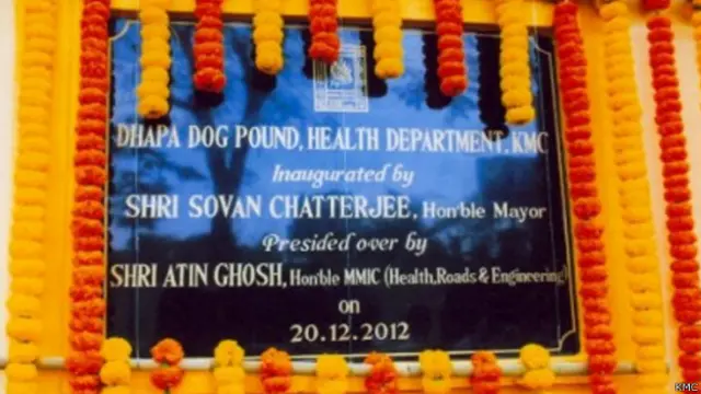 डॉग पाउंड