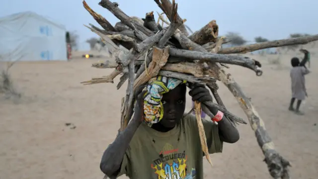 گذشتہ چند ماہ میں چاڈ کے علاوہ نائیجر اور کیمرون میں بھی شدت پسندوں کی جانب سے حملوں میں اضافہ ہوا ہے