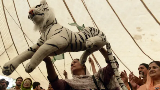 جو بات رکشے والا جانتا ہے وہ اس رکشے والے کی قسمت بدل دینے کے دعویٰ دار مداریوں کو چھو کے بھی نہیں گذری