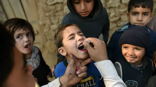 حکام کی جانب سے اُمید ظاہر کی جارہی ہے کہ پولیو مہم آئندہ چند روز میں دوبارہ شروع کردی جائے گی