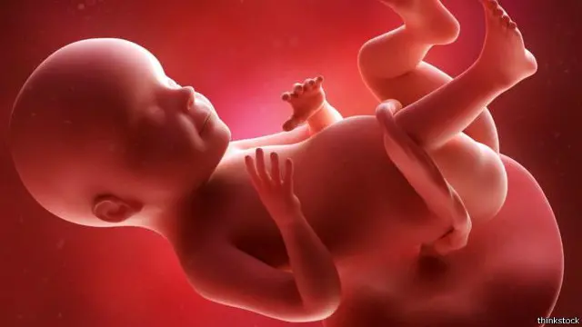 Sel-sel punca itu, yang mampu berubah menjadi berbagai jaringan, diharapkan akan mengurangi gejala penyakit tulang rapuh, yang tak tak bisa disembuhkan.