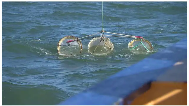 که د سمندر د اوبو مخ ولټوئ ډېر امکان لري چې پلاستیک به پیدا کړئ