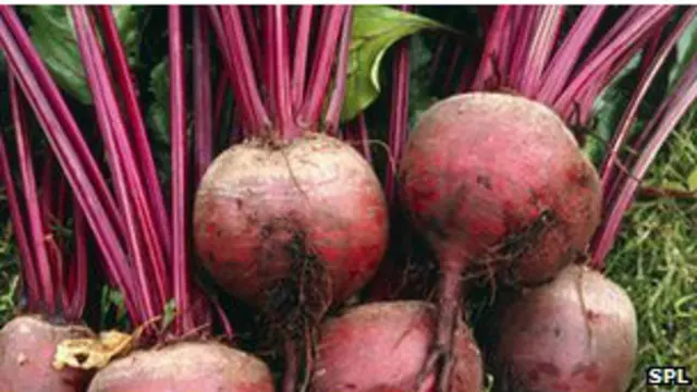 Remolacha