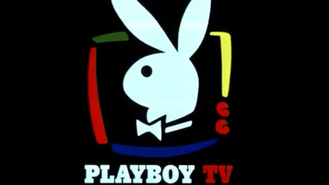 تلویزیون پلی‌بوی یکی از زیرمجموعه‌های موسسه است