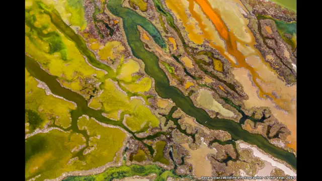 اس تصویر میں فوٹوگرافر پیٹر سلوئیر نے سپین کے صوبے اندلیسی کے ساحلی پٹی کا تصویر بنائی ہے