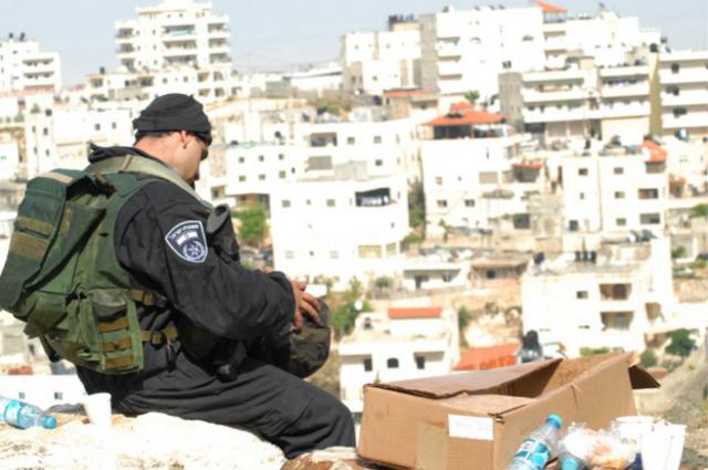 �������� ������������: ����.