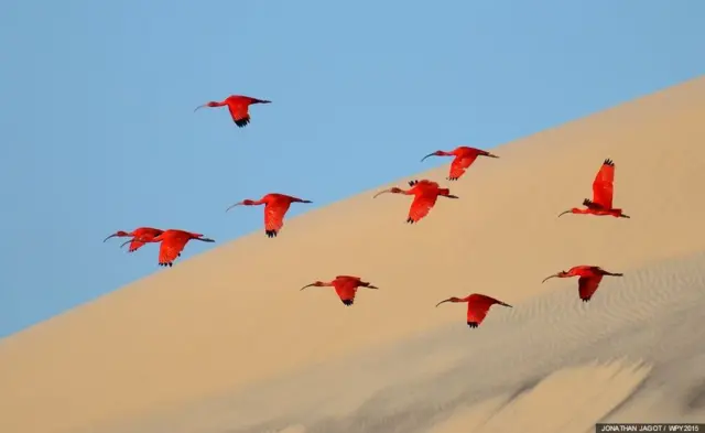 بهترین عکس بخش "15 تا 17 ساله‌ها" - جاناتان ژاگو (فرانسه)