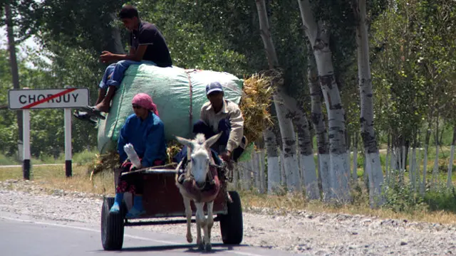 Blowjob tomosha bepul