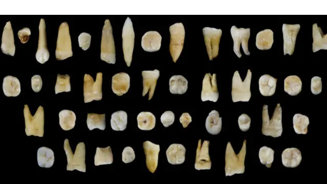 这47枚牙齿化石正在挑战“人类源自非洲”的定论。