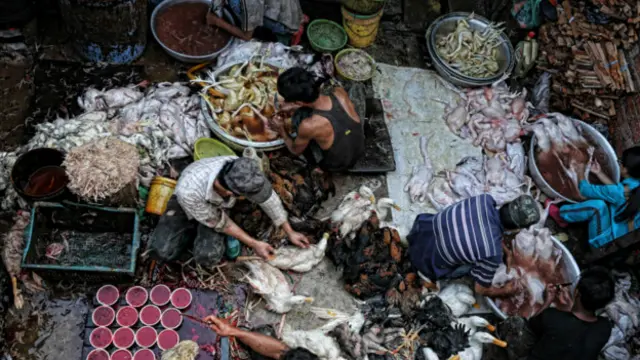 "Poultry prepared for market", de Peter Graney