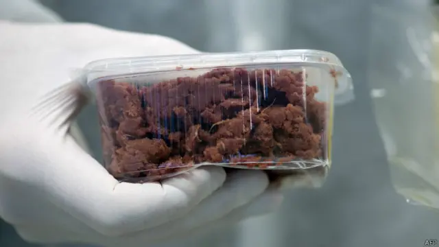 محققین برگر کو سستا اور مزیدار بنانے کے لیے ایک کمپنی قائم کرنے کے متعلق بھی سوچ رہے ہیں (فائل فوٹو)