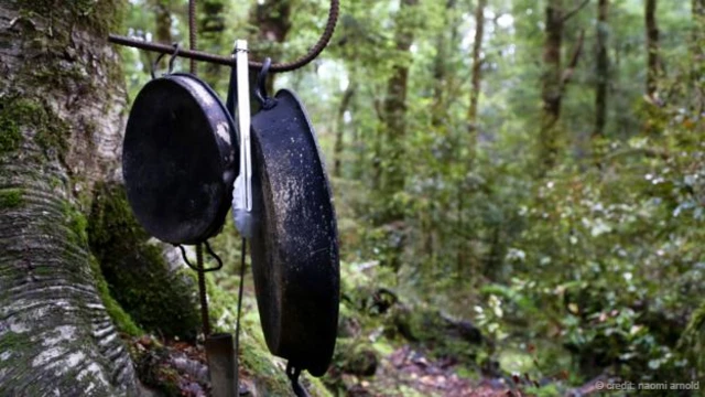 烹饪器具悬挂在炽热的火焰之上(图片来源：Naomi Arnold)