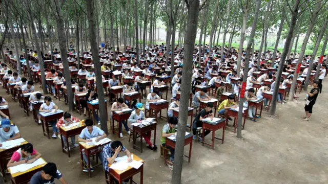 Ученики в Китае пишут экзамен в лесу