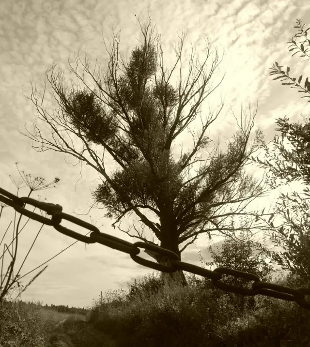 Настя Новосельская