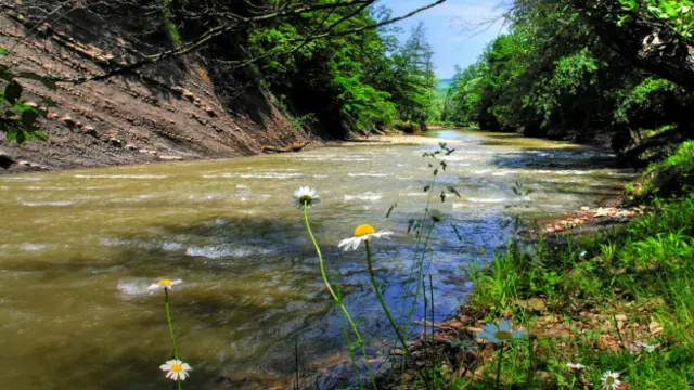 Юрий Дениско