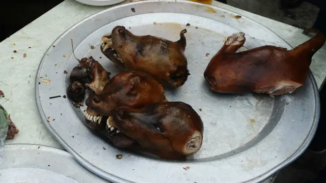 Certains congolais mangent la viande de chien à Kinshasa