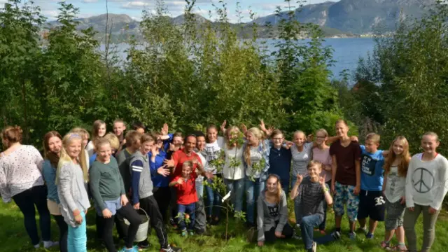 پروژه ما به درختان نیازمندیم