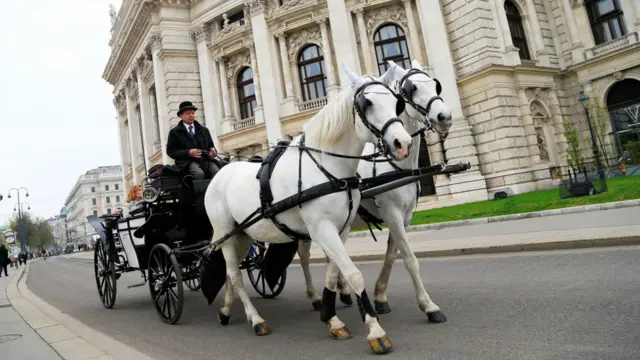 Là một trong những thành phố nhỏ của Châu Âu, Vienna, thủ đô nước Áo, có cái hay của cả hai thế giới: sự nhã nhặn văn hoá của một thủ đô lớn và những nơi ở trau chuốt với giá rẻ của một thành phố nhỏ. Môi trường này cũng đưa đến một bầu không khí độc lập và nhẹ nhàng. Tuy người dân kín đáo nhưng họ rất thân thiện với du khách và thường tán thưởng quan điểm của họ về văn hoá và các sự kiện thời sự.