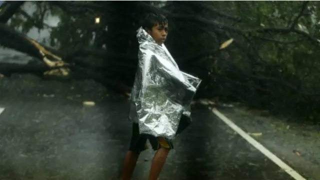 Topan Koppu menumbangkan pohon-pohon dan menutupi jalan utama.