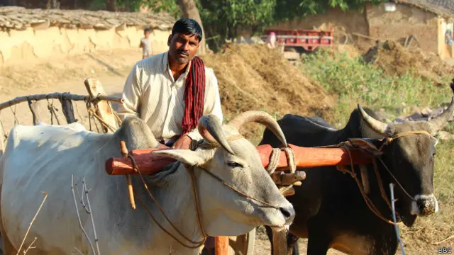 भारत किसान